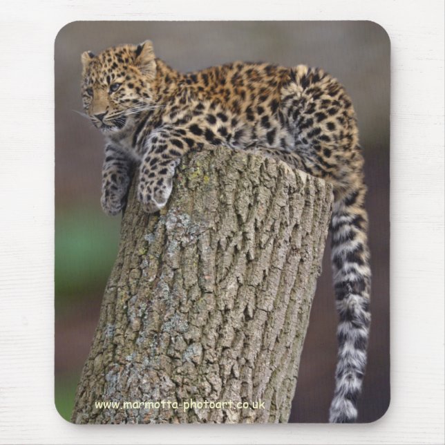 Tapis de souris Queue de Léopard (Devant)