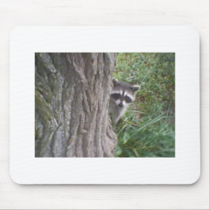 Tapis De Souris Raccoon
