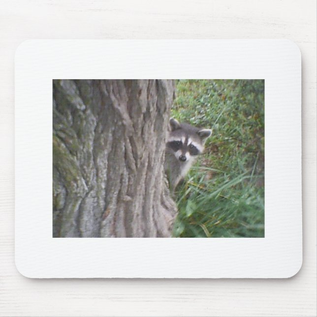 Tapis De Souris Raccoon (Devant)