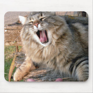 Tapis De Souris Ragondin de LOL Maine