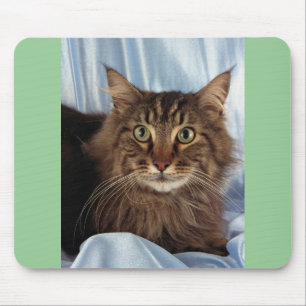 Tapis De Souris Ragondin du Maine, chat tigré brun