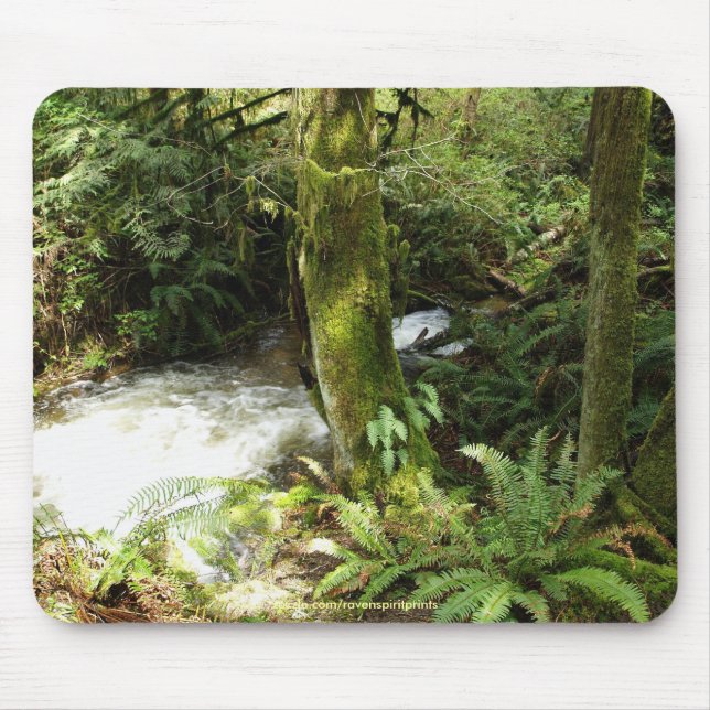 Tapis De Souris Rainforest Stream Wilderness Nature Photo Mousepad (Devant)