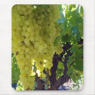 Tapis De Souris Raisins De Sultana Sur Une Vigne De Raisin,