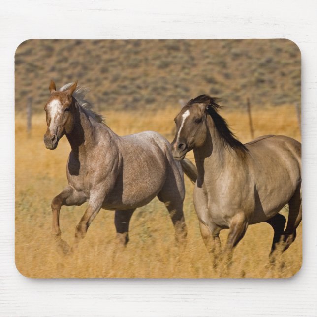 Tapis De Souris Ranch Living at The Ponderosa Ranch (Devant)