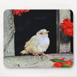 Tapis De Souris RARE albino bird
