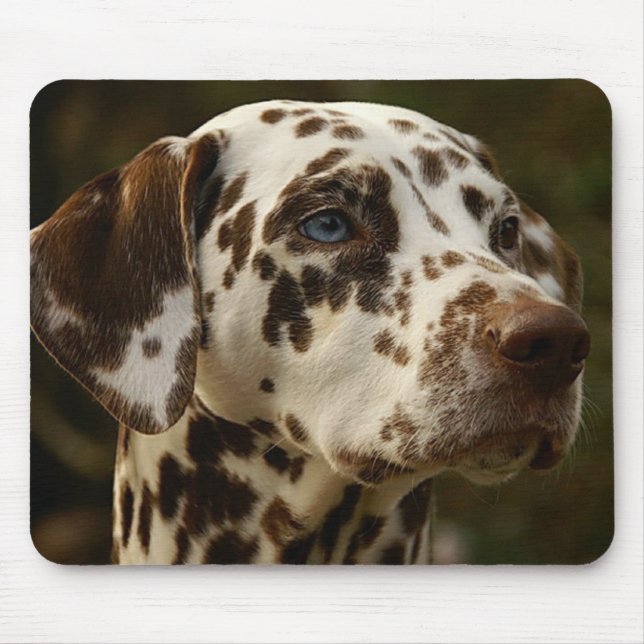 Tapis De Souris Rare Brown Dalmatien | Dalmation du foie (Devant)