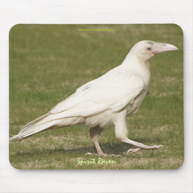 Tapis De Souris Rare White Raven Photo de la faune du Corvid-lover (Devant)