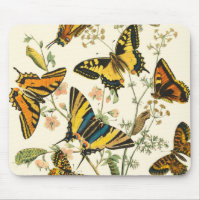Rassemblement coloré de papillons et de chenilles