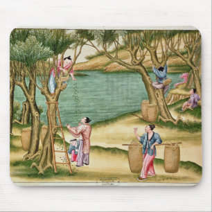 Tapis De Souris Rassemblement des mûres