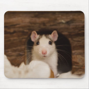 Tapis De Souris Rat mignon