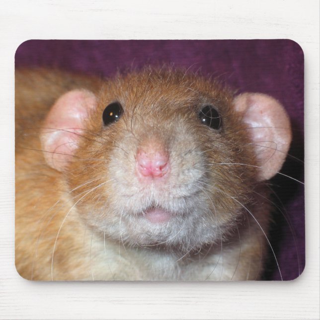 Tapis De Souris Rat Mousepad d'abruti (Devant)