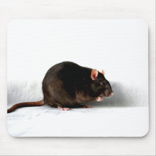 Tapis De Souris Rat mpm