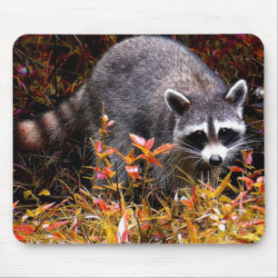 TAPIS DE SOURIS RATON LAVEUR EN AUTOMNE