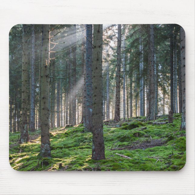 Tapis De Souris Rayons de soleil dans la Forêt-Noire (Devant)