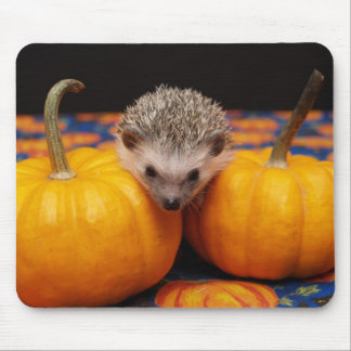 Tapis De Souris Recherche du grand citrouille