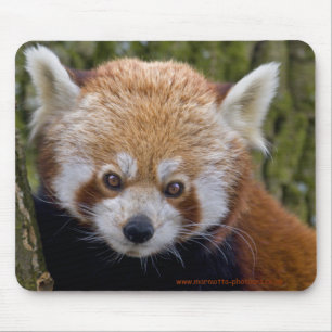 Tapis De Souris Red Bandit Mousemat
