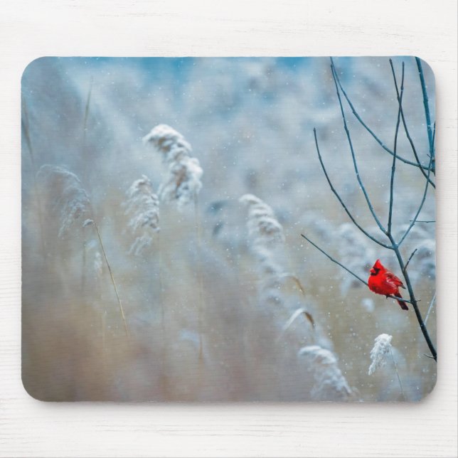 Tapis De Souris Red Cardinal dans Winter Nature Photo de Christmas (Devant)