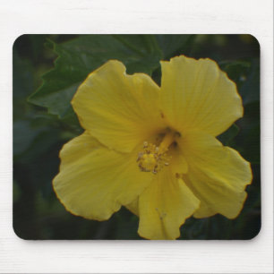 Tapis De Souris Regard à l'intérieur d'une fleur jaune Mousepad