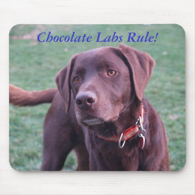 Tapis De Souris Règle de laboratoires de chocolat ! (Devant)