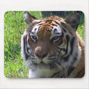 Tapis De Souris Reine de la jungle