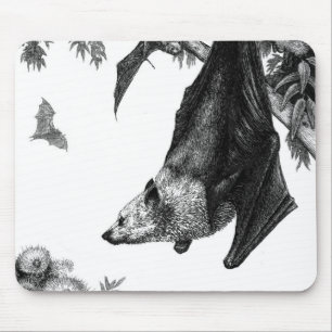 Tapis De Souris Renards de vol Mousepad
