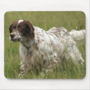 Tapis de souris repéré de chien de poseur anglai