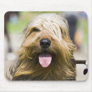 Tapis De Souris représentation de la langue, longs cheveux,