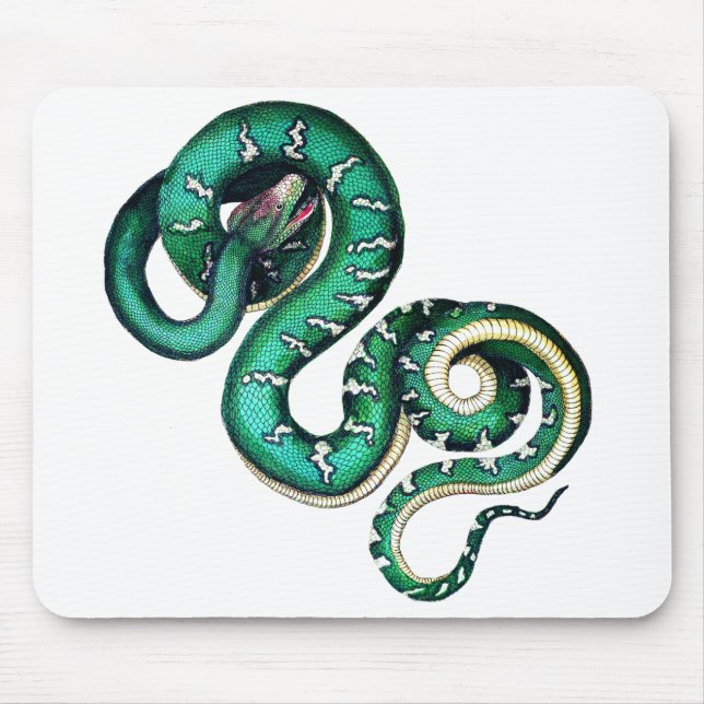 Tapis De Souris reptile de serpent vintage (Devant)