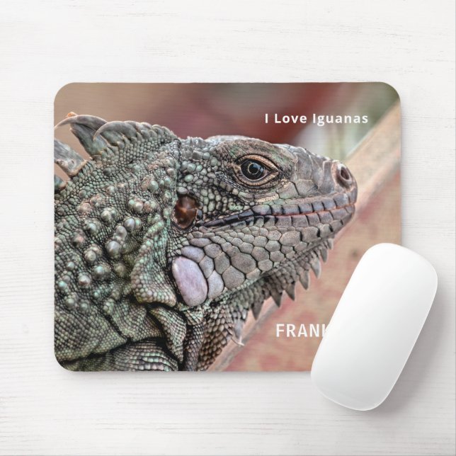 Tapis De Souris Reptile exotique (Avec souris)