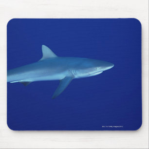 Tapis De Souris Requin