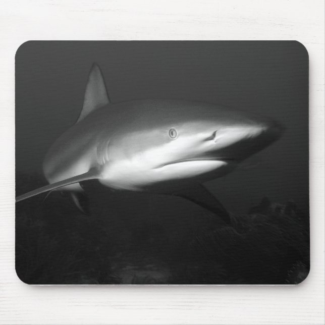Tapis De Souris Requin (Devant)