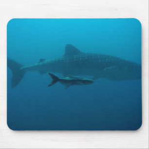 Tapis De Souris Requins Poisson Eau Océan Tropical Plage Paix Amou