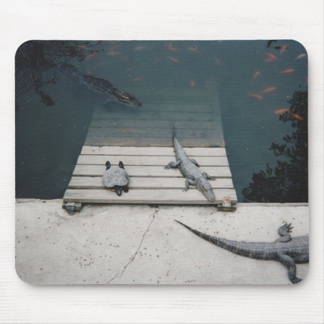 Tapis De Souris Réservoir de reptiles (Devant)