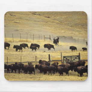 Tapis De Souris Réunion du National Bison Range dans le Montana