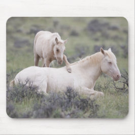 Tapis De Souris Réveillez-vous Frère Mousepad