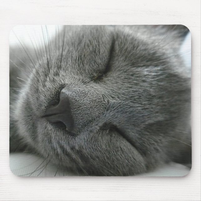 Tapis De Souris Rêver le minou (Devant)