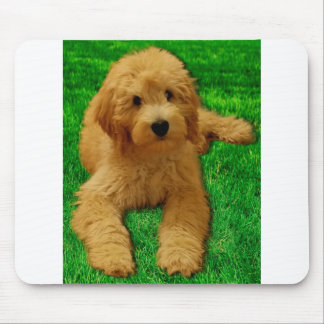 Tapis De Souris Rex The Goldendoodle