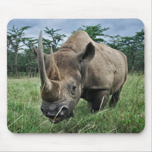Tapis De Souris Rhinocéros noir   Kenya