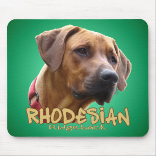 Tapis De Souris Rhodesian Ridgeback