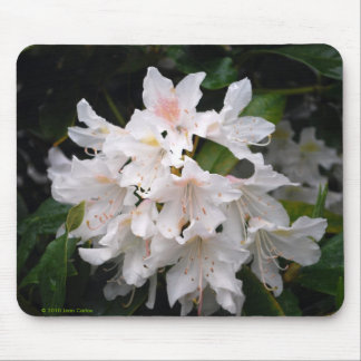 Tapis De Souris Rhododendron blanc Mousepad