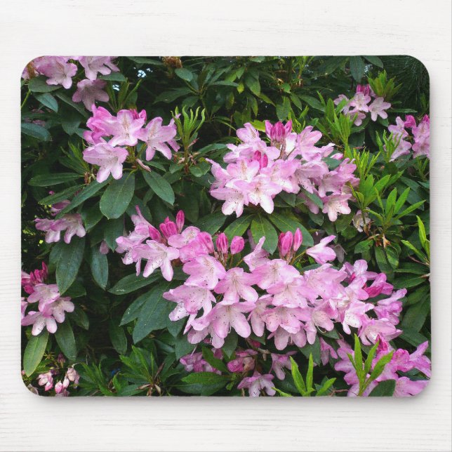 Tapis De Souris Rhododendrons IV (Devant)