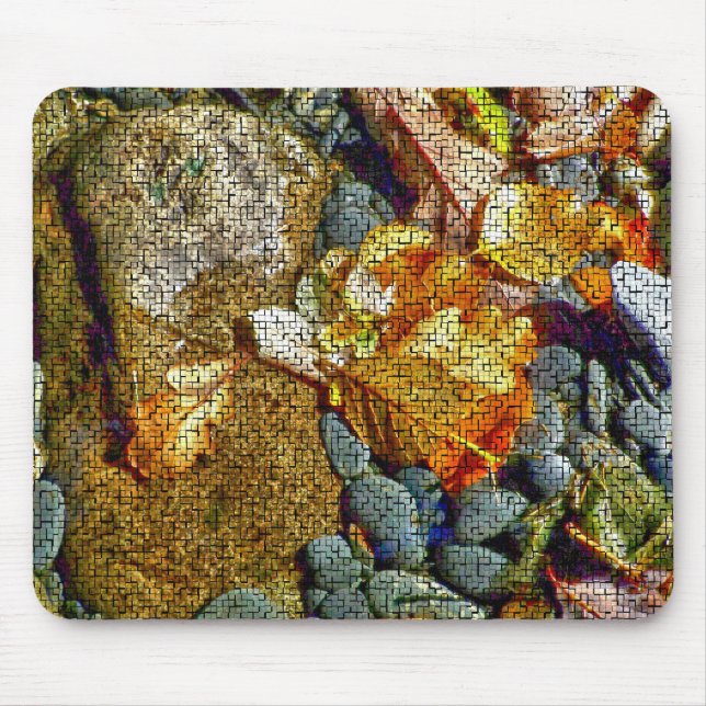 TAPIS DE SOURIS RIVIÈRES (Devant)