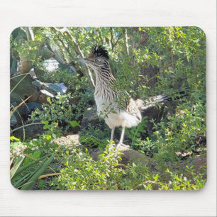 Tapis De Souris Roadrunner américain dans le désert d'Arizona