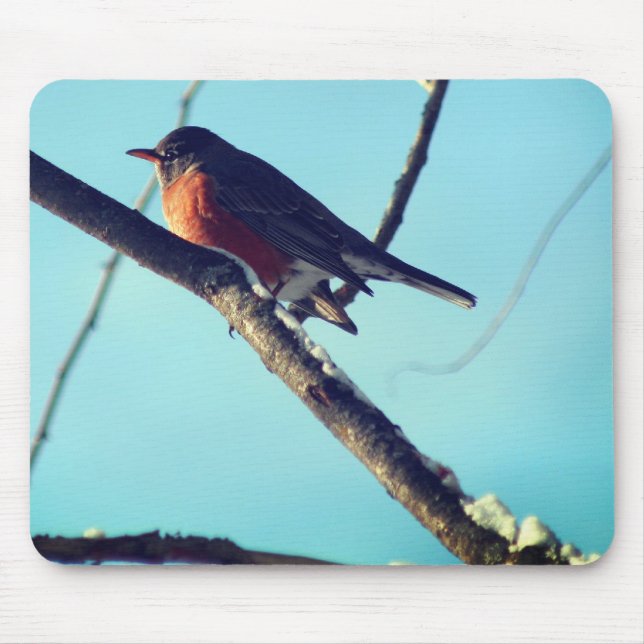Tapis De Souris Robin Dans La Nature De La Neige  (Devant)