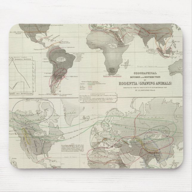 Tapis De Souris Rodentia, Ruminantia (Devant)
