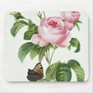 Tapis De Souris Rosa Centifolia