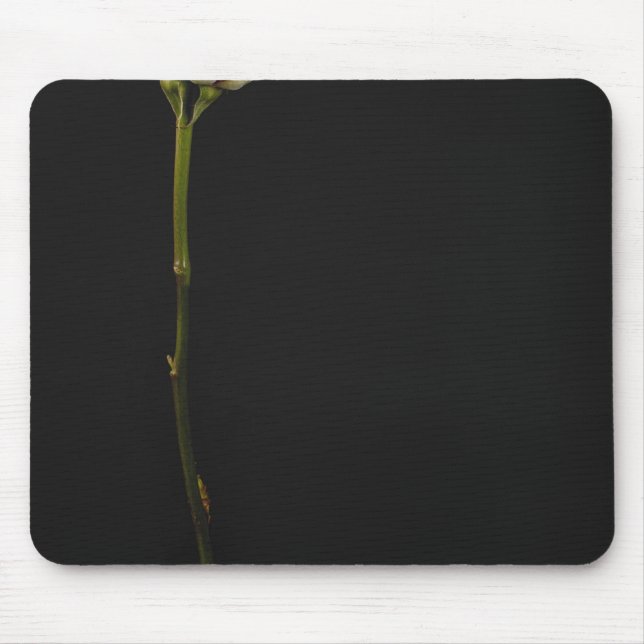 Tapis De Souris Rose 3 de rose (Devant)