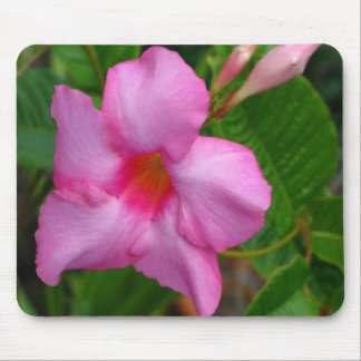 Tapis de souris rose de "Alice dupont" de
