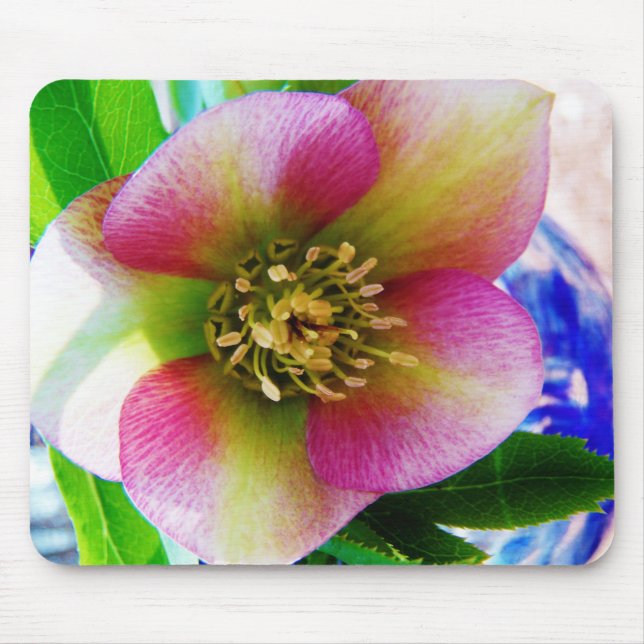 Tapis De Souris Rose de carême rose, (Devant)