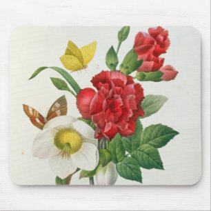 Tapis De Souris Rose de Noël, Helleborus Niger
